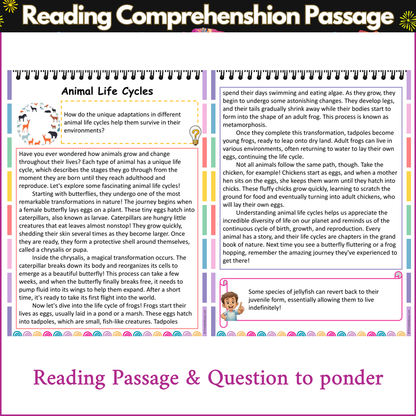 Animal Life Cycles | Reading Comprehension Passage and Questions
