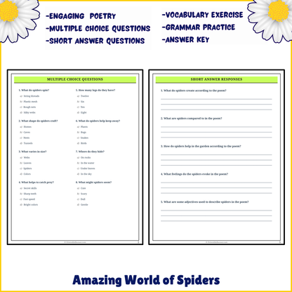 Amazing World of Spiders | Poem Grammar Worksheet Printable Activity