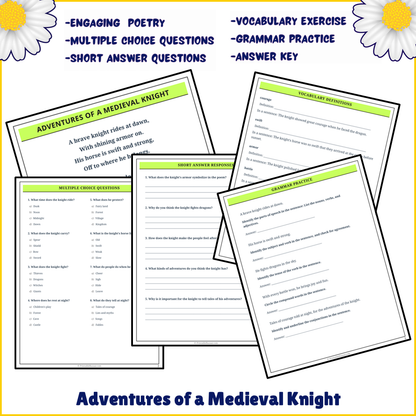 Adventures of a Medieval Knight | Poem Grammar Worksheet Printable Activity