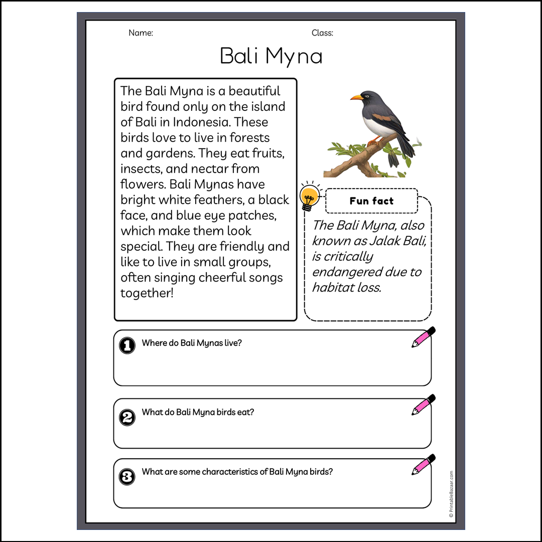 Bali Myna | Reading Passage Comprehension Questions Writing Facts Worksheet