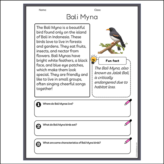 Bali Myna | Reading Passage Comprehension Questions Writing Facts Worksheet