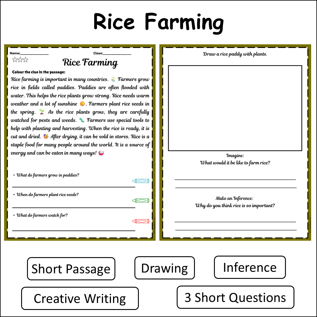 Rice Farming | Short Reading Comprehension Creative Worksheet