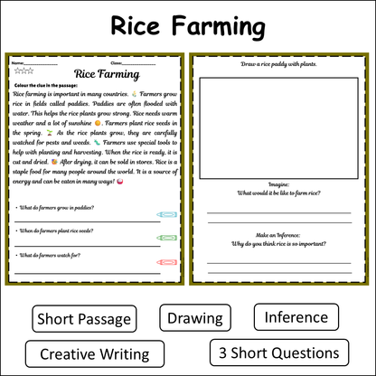 Rice Farming | Short Reading Comprehension Creative Worksheet