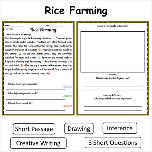 Rice Farming | Short Reading Comprehension Creative Worksheet