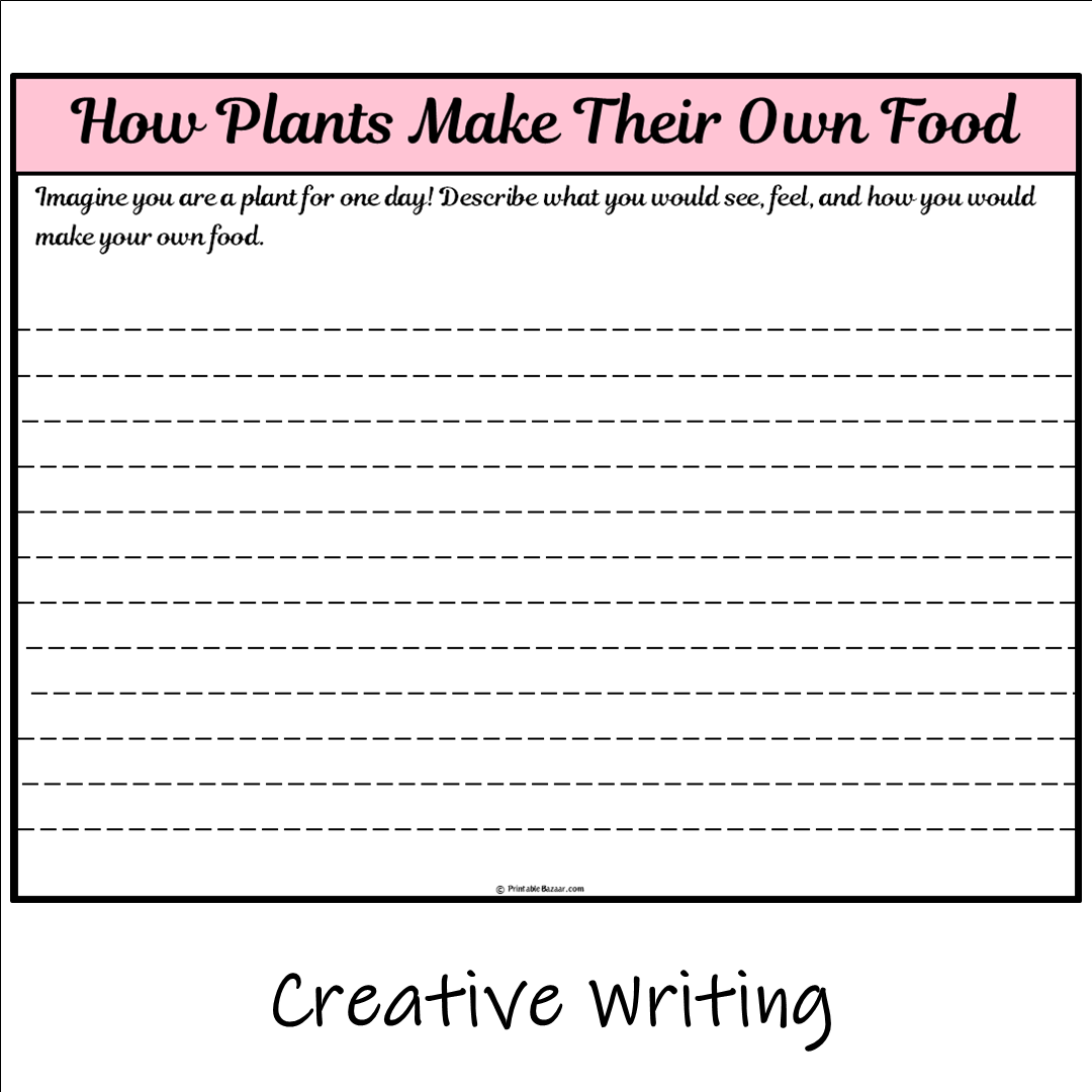 How Plants Make Their Own Food | Main Idea and Supporting Details Reading Passage and Questions