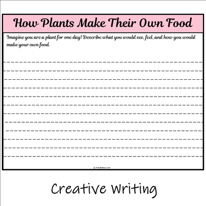 How Plants Make Their Own Food | Main Idea and Supporting Details Reading Passage and Questions