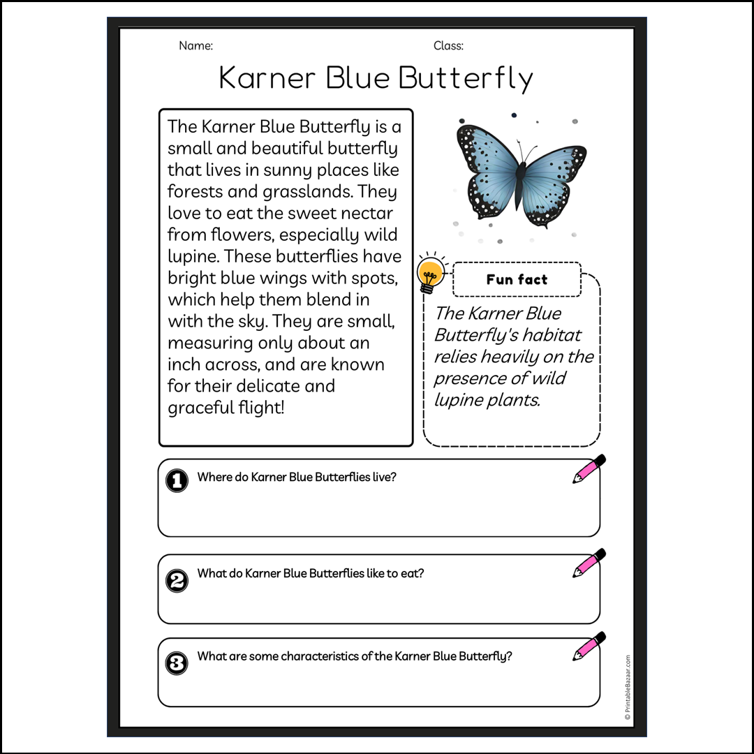 Karner Blue Butterfly | Reading Passage Comprehension Questions Writing Facts Worksheet