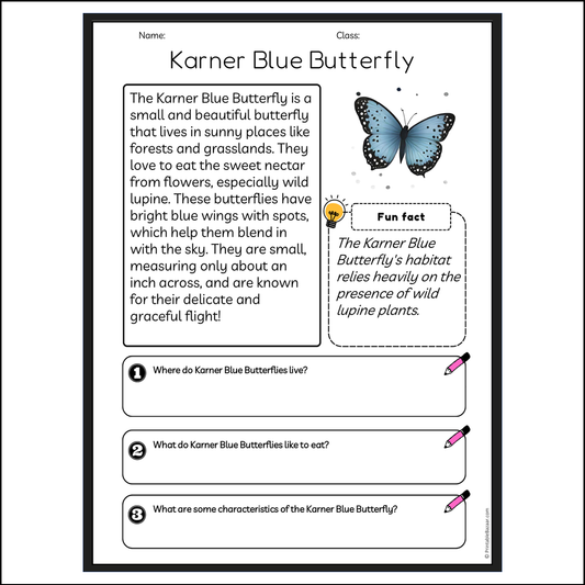 Karner Blue Butterfly | Reading Passage Comprehension Questions Writing Facts Worksheet