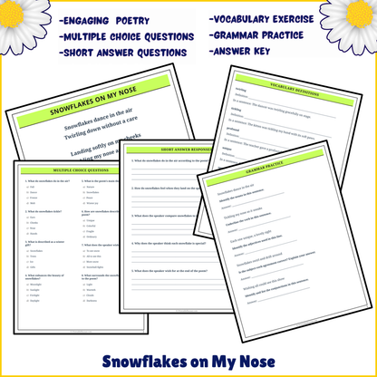 Snowflakes on My Nose | Poem Grammar Worksheet Printable Activity