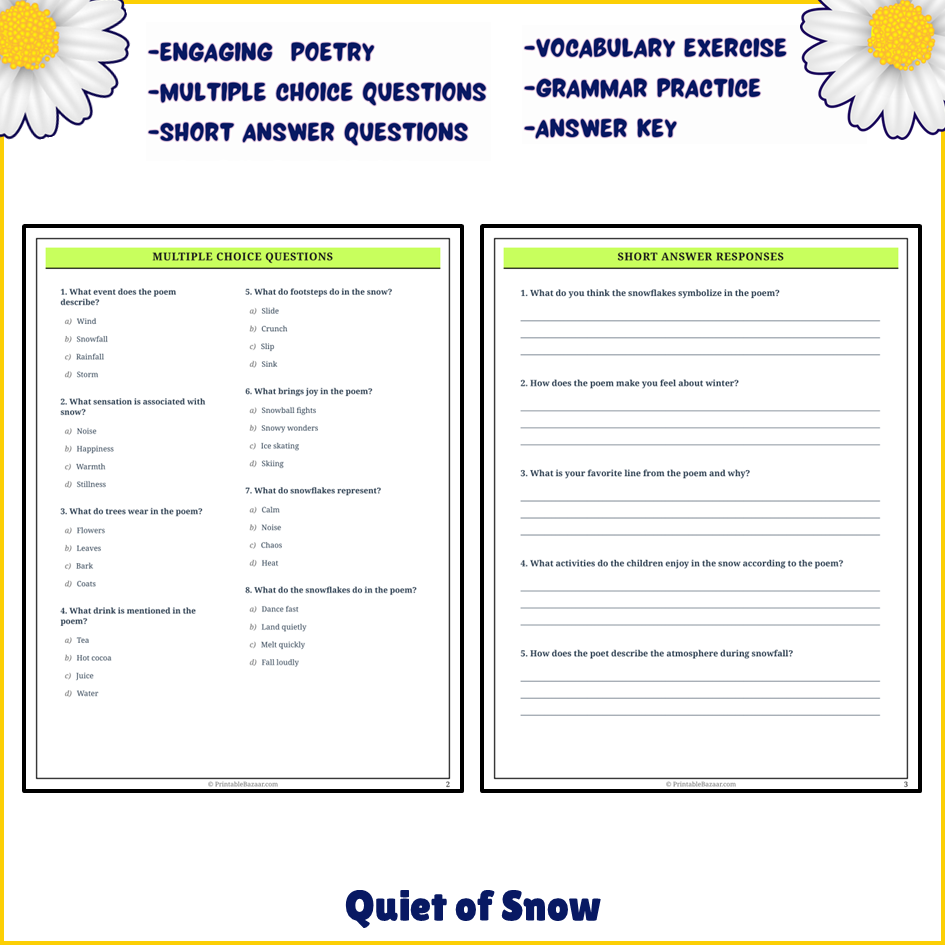 Quiet of Snow | Poem Grammar Worksheet Printable Activity