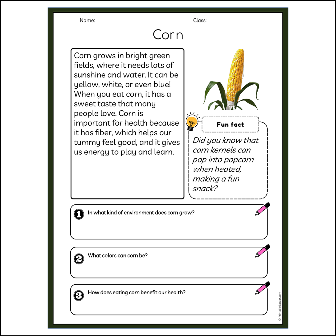 Corn | Reading Passage Comprehension Questions Writing Facts Worksheet