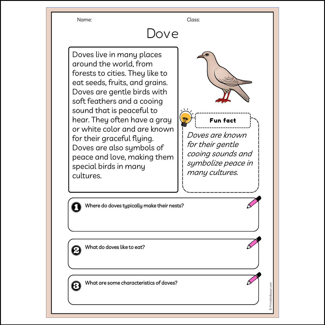 Dove | Reading Passage Comprehension Questions Writing Facts Worksheet