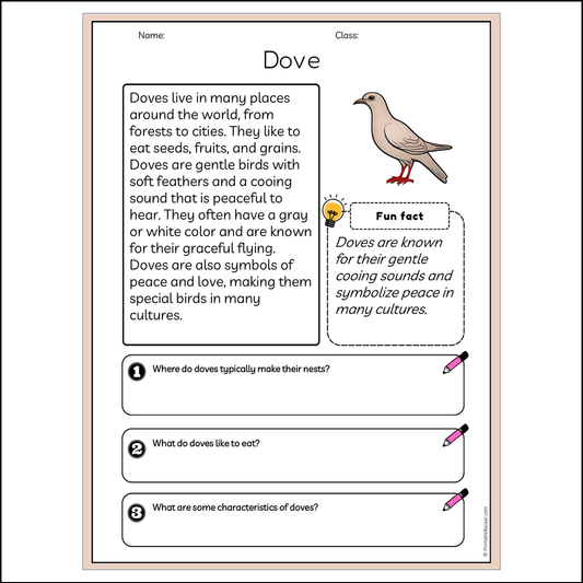 Dove | Reading Passage Comprehension Questions Writing Facts Worksheet