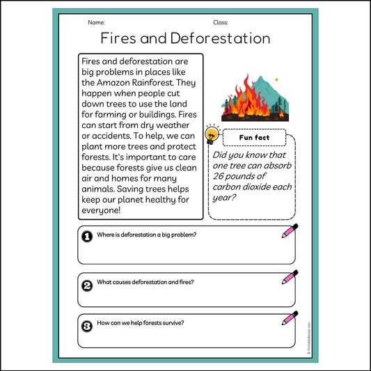 Fires and Deforestation | Reading Passage Comprehension Questions Writing Facts Worksheet