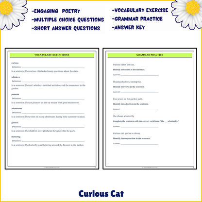 Curious Cat | Poem Grammar Worksheet Printable Activity