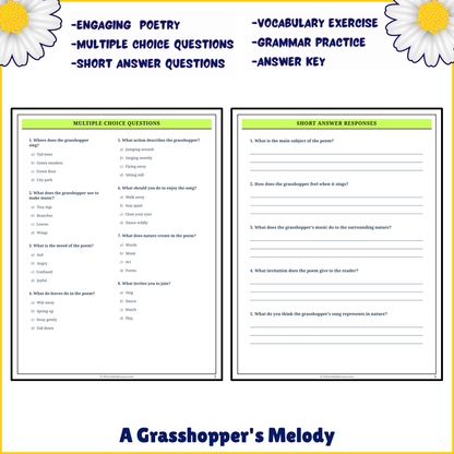 A Grasshopper's Melody | Poem Grammar Worksheet Printable Activity