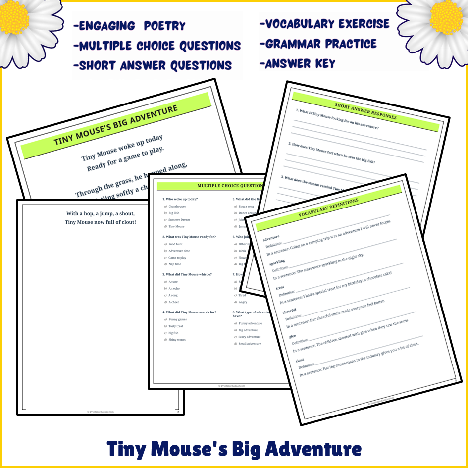 Tiny Mouse's Big Adventure | Poem Grammar Worksheet Printable Activity