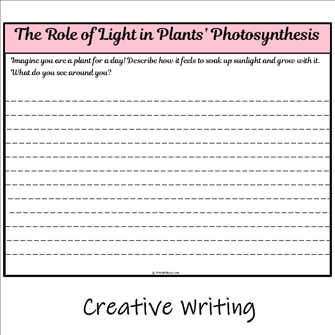 The Role of Light in Plants’ Photosynthesis | Main Idea and Supporting Details Reading Passage and Questions