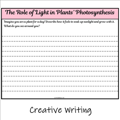 The Role of Light in Plants’ Photosynthesis | Main Idea and Supporting Details Reading Passage and Questions