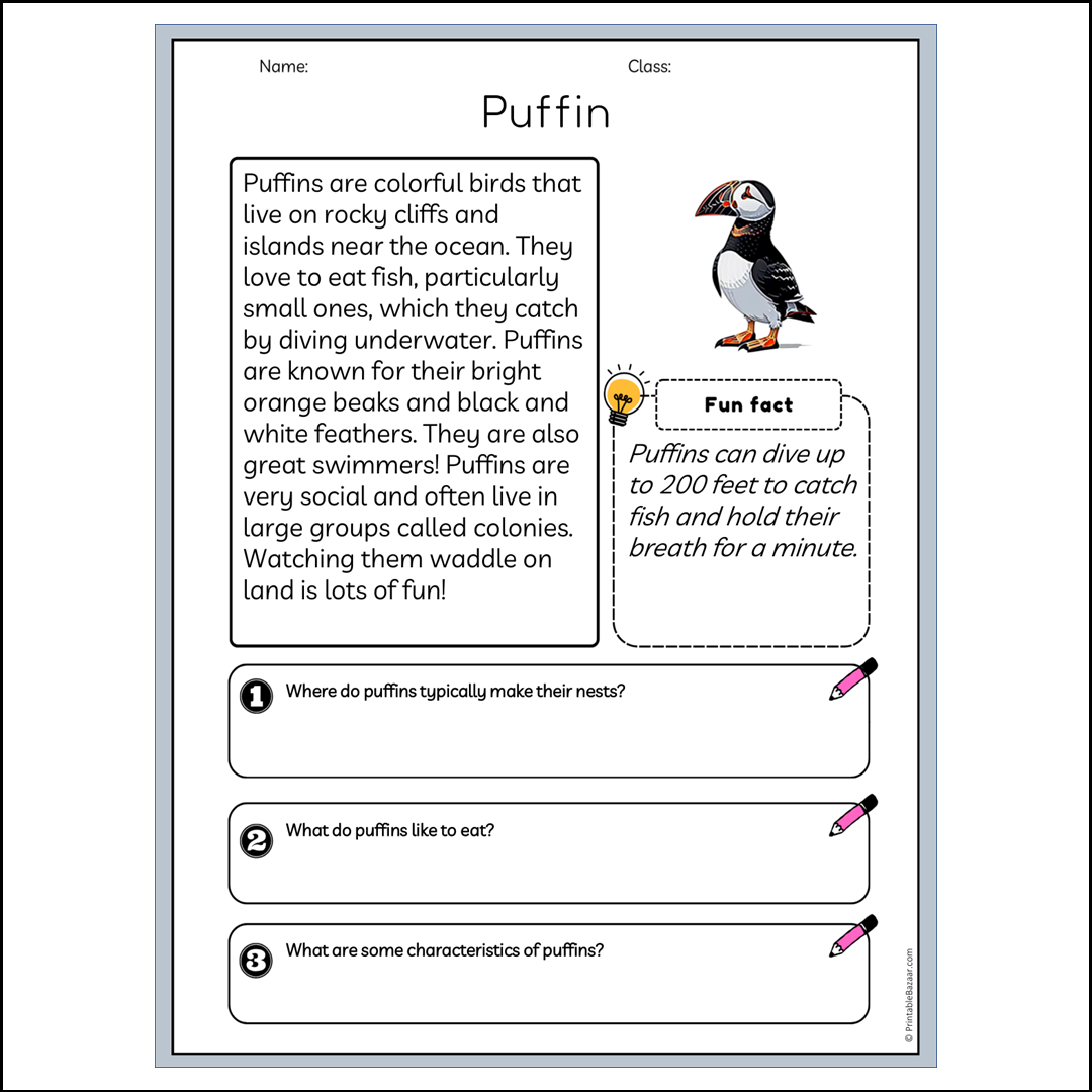 Puffin | Reading Passage Comprehension Questions Writing Facts Worksheet