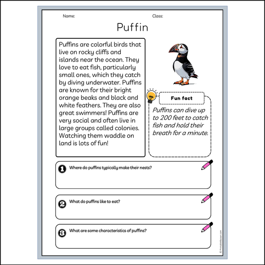 Puffin | Reading Passage Comprehension Questions Writing Facts Worksheet