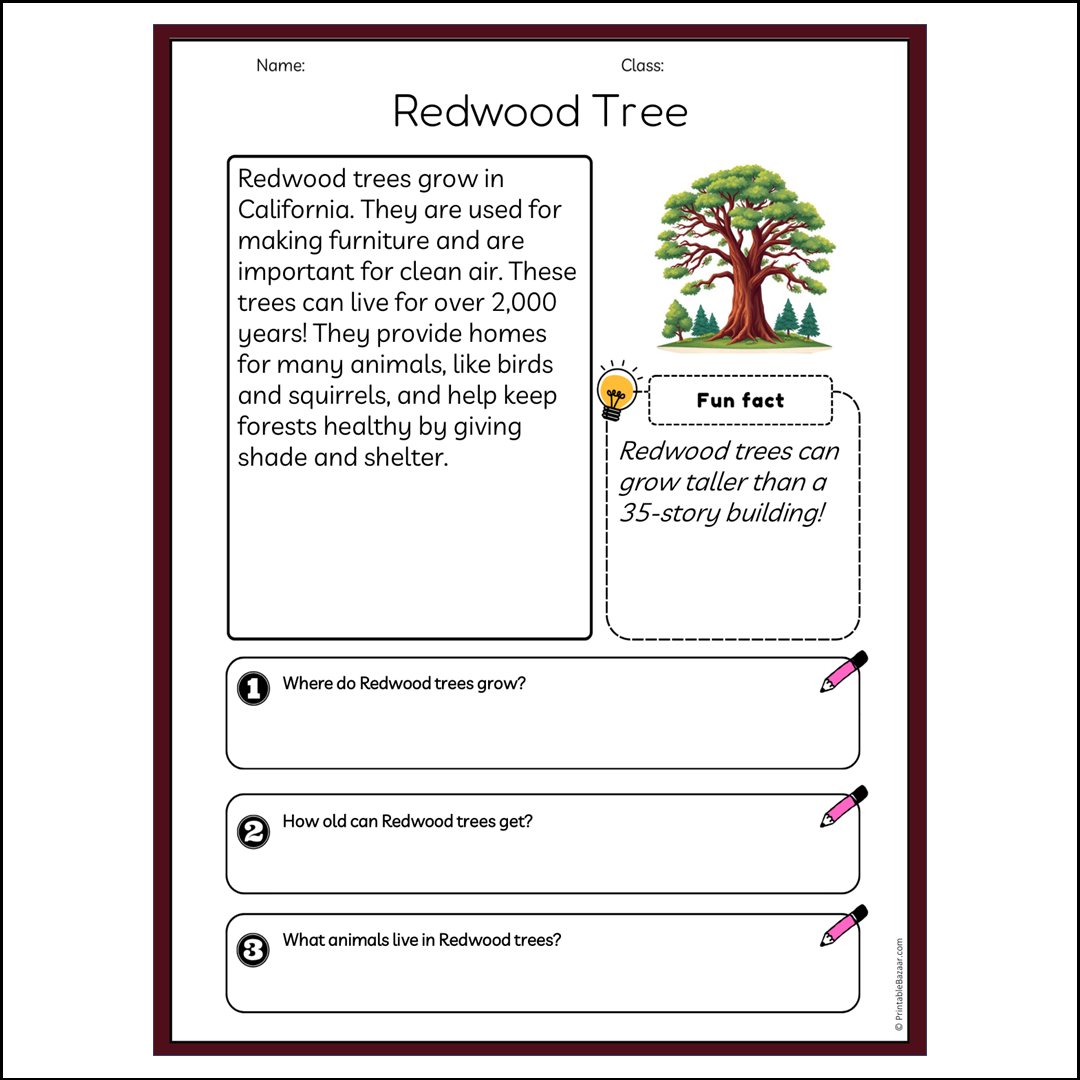 Redwood Tree | Reading Passage Comprehension Questions Writing Facts Worksheet