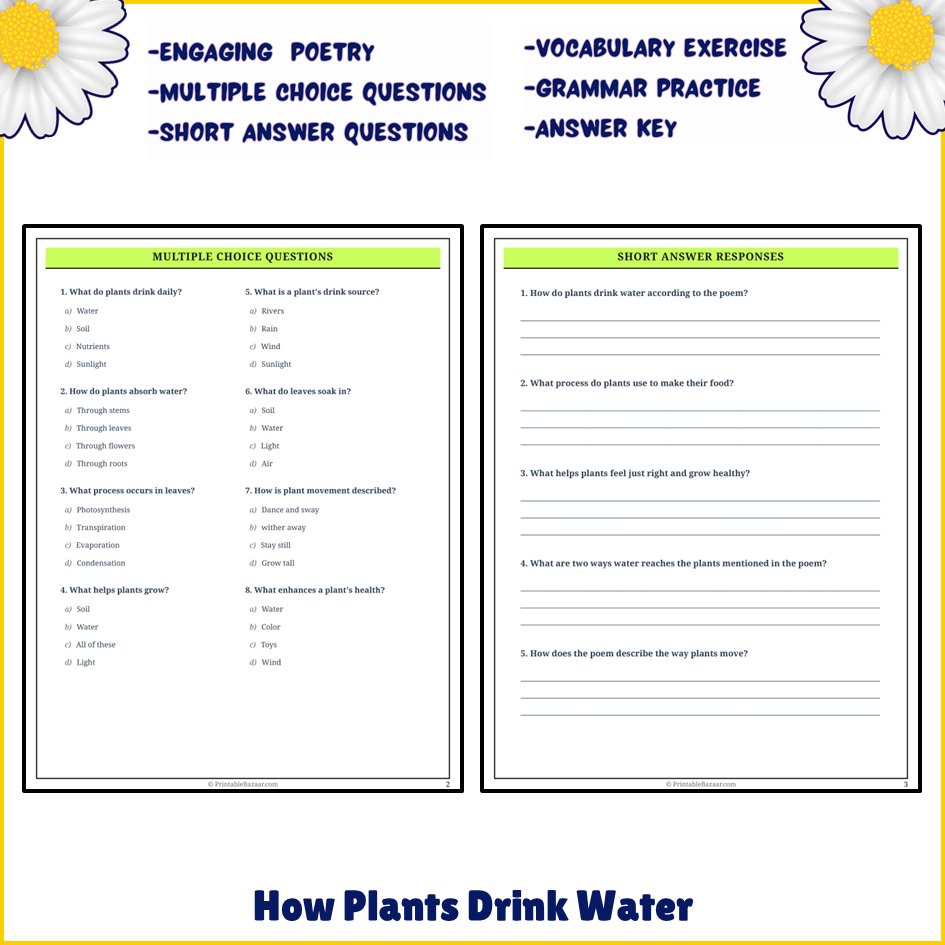 How Plants Drink Water | Poem Grammar Worksheet Printable Activity