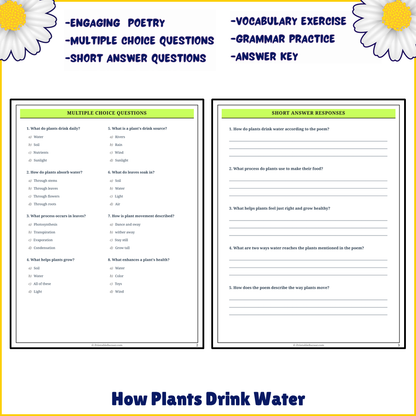 How Plants Drink Water | Poem Grammar Worksheet Printable Activity