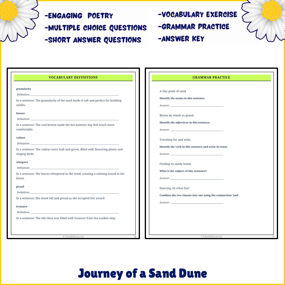 Journey of a Sand Dune | Poem Grammar Worksheet Printable Activity