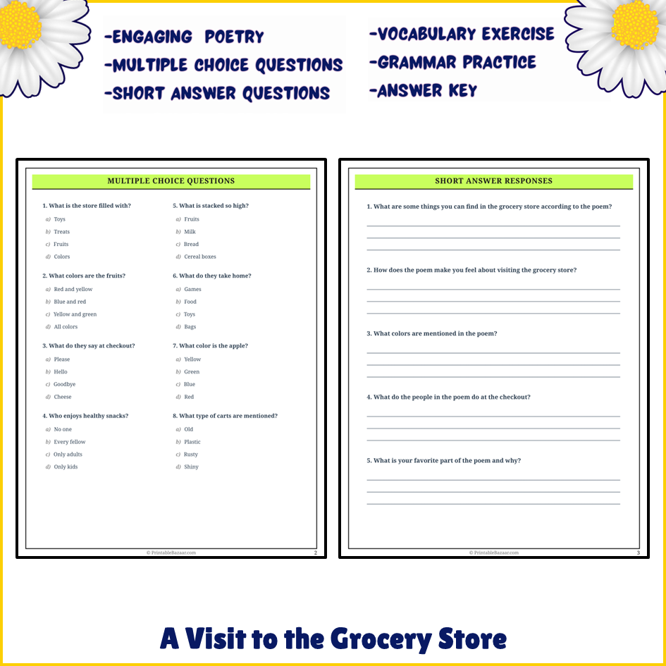 A Visit to the Grocery Store | Poem Grammar Worksheet Printable Activity