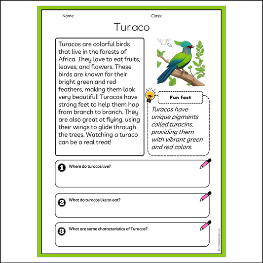 Turaco | Reading Passage Comprehension Questions Writing Facts Worksheet