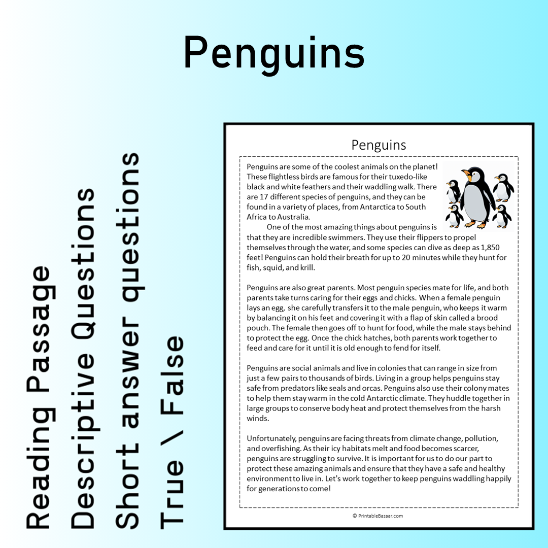 Penguins | Reading Comprehension Passage Printable Worksheet