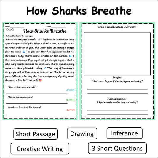 How Sharks Breathe | Short Reading Comprehension Creative Worksheet