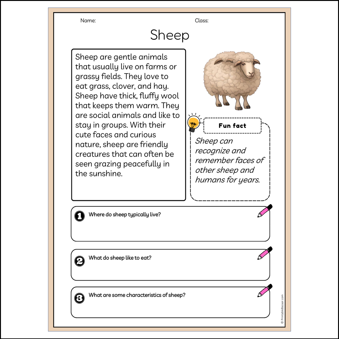 Sheep | Reading Passage Comprehension Questions Writing Facts Worksheet