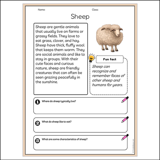 Sheep | Reading Passage Comprehension Questions Writing Facts Worksheet