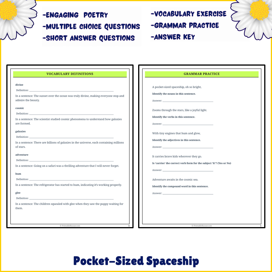 Pocket-Sized Spaceship | Poem Grammar Worksheet Printable Activity