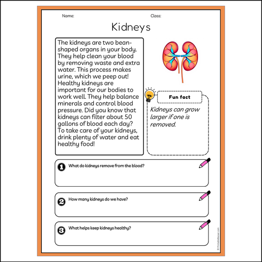 Kidneys | Reading Passage Comprehension Questions Writing Facts Worksheet