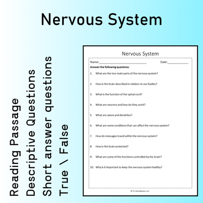 Nervous System | Reading Comprehension Passage Printable Worksheet