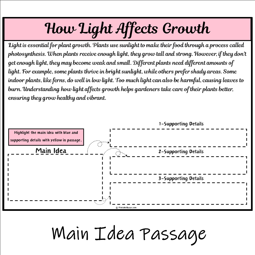 How Light Affects Growth | Main Idea and Supporting Details Reading Passage and Questions