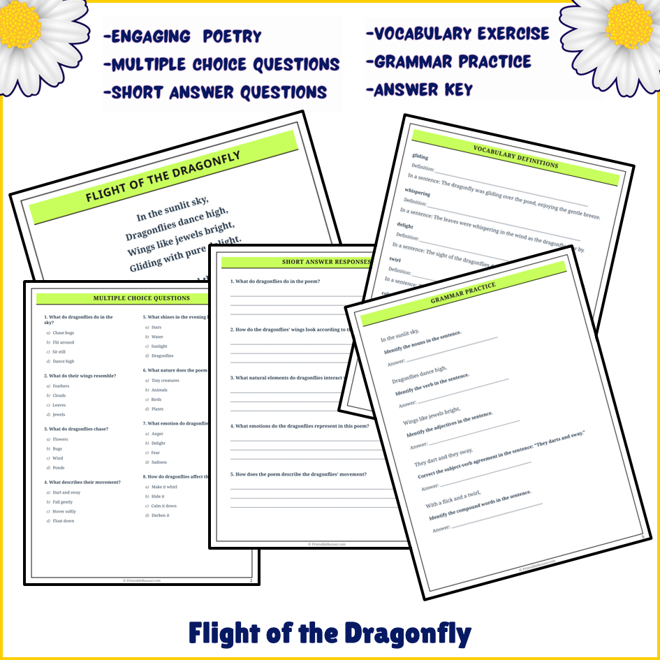 Flight of the Dragonfly | Poem Grammar Worksheet Printable Activity