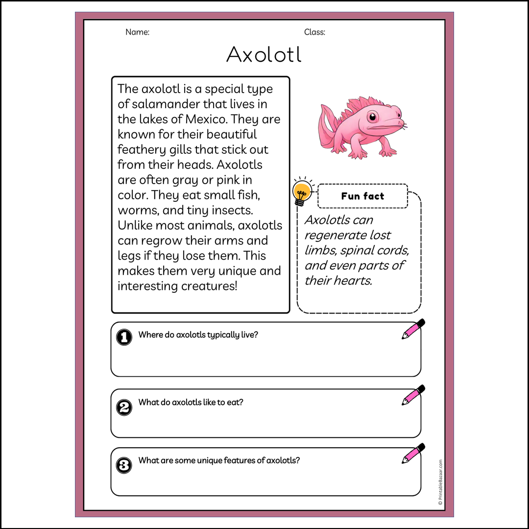 Axolotl | Reading Passage Comprehension Questions Writing Facts Worksheet