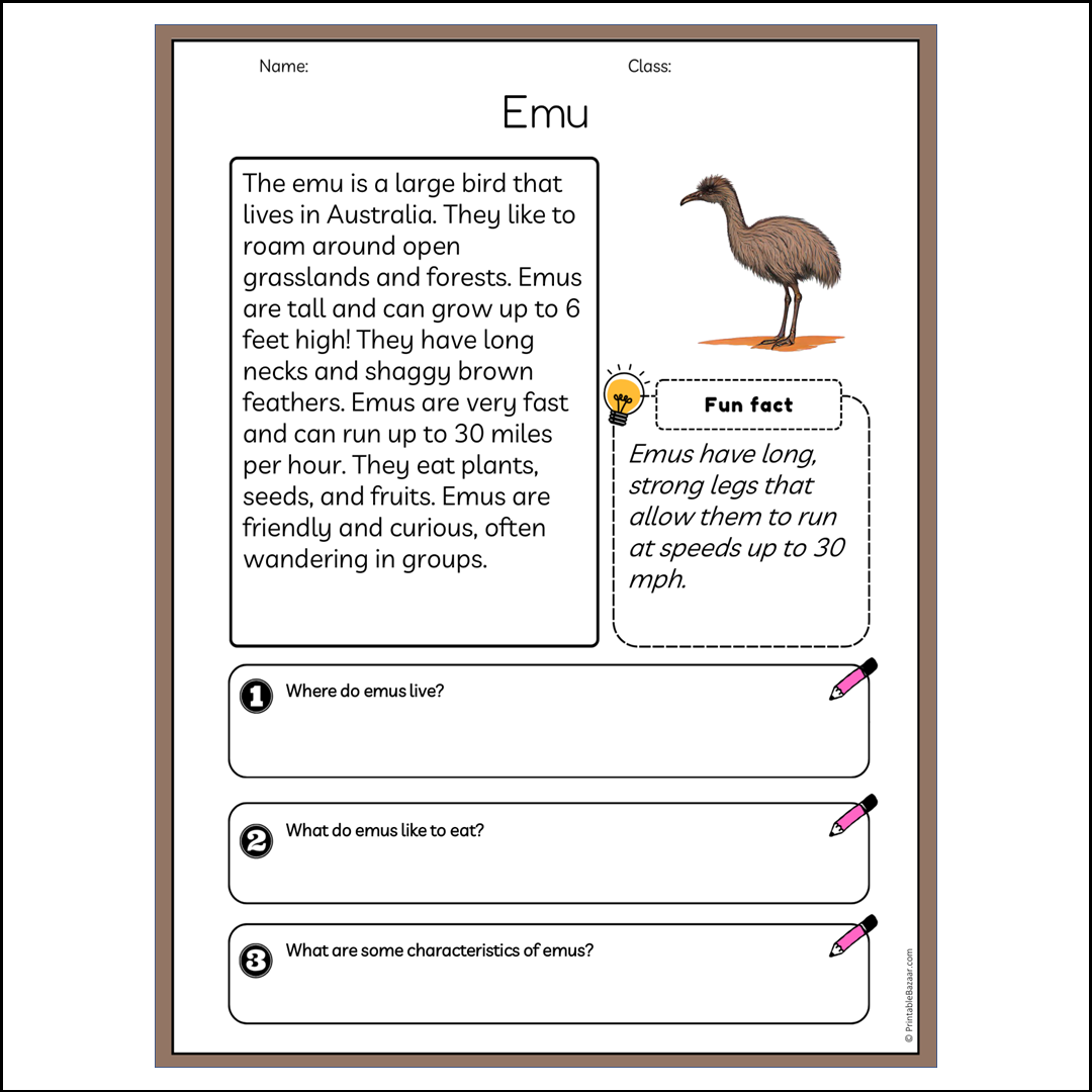 Emu | Reading Passage Comprehension Questions Writing Facts Worksheet