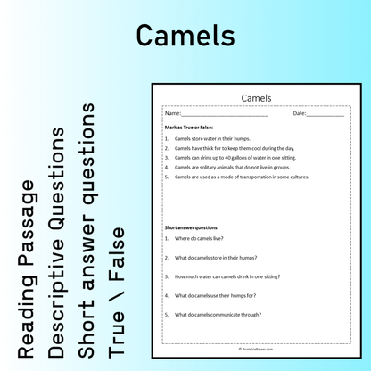 Camels | Reading Comprehension Passage Printable Worksheet