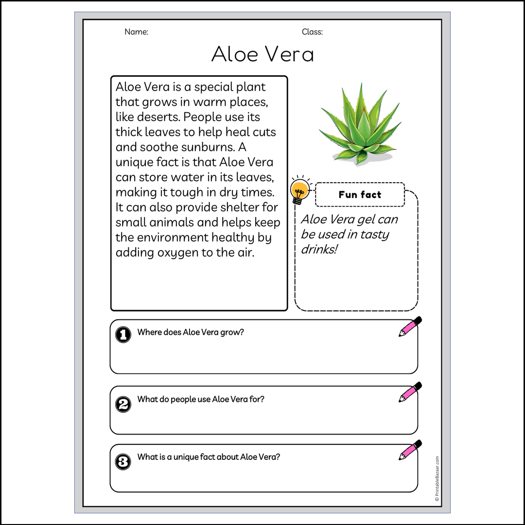 Aloe Vera | Reading Passage Comprehension Questions Writing Facts Worksheet