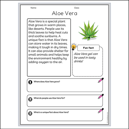 Aloe Vera | Reading Passage Comprehension Questions Writing Facts Worksheet