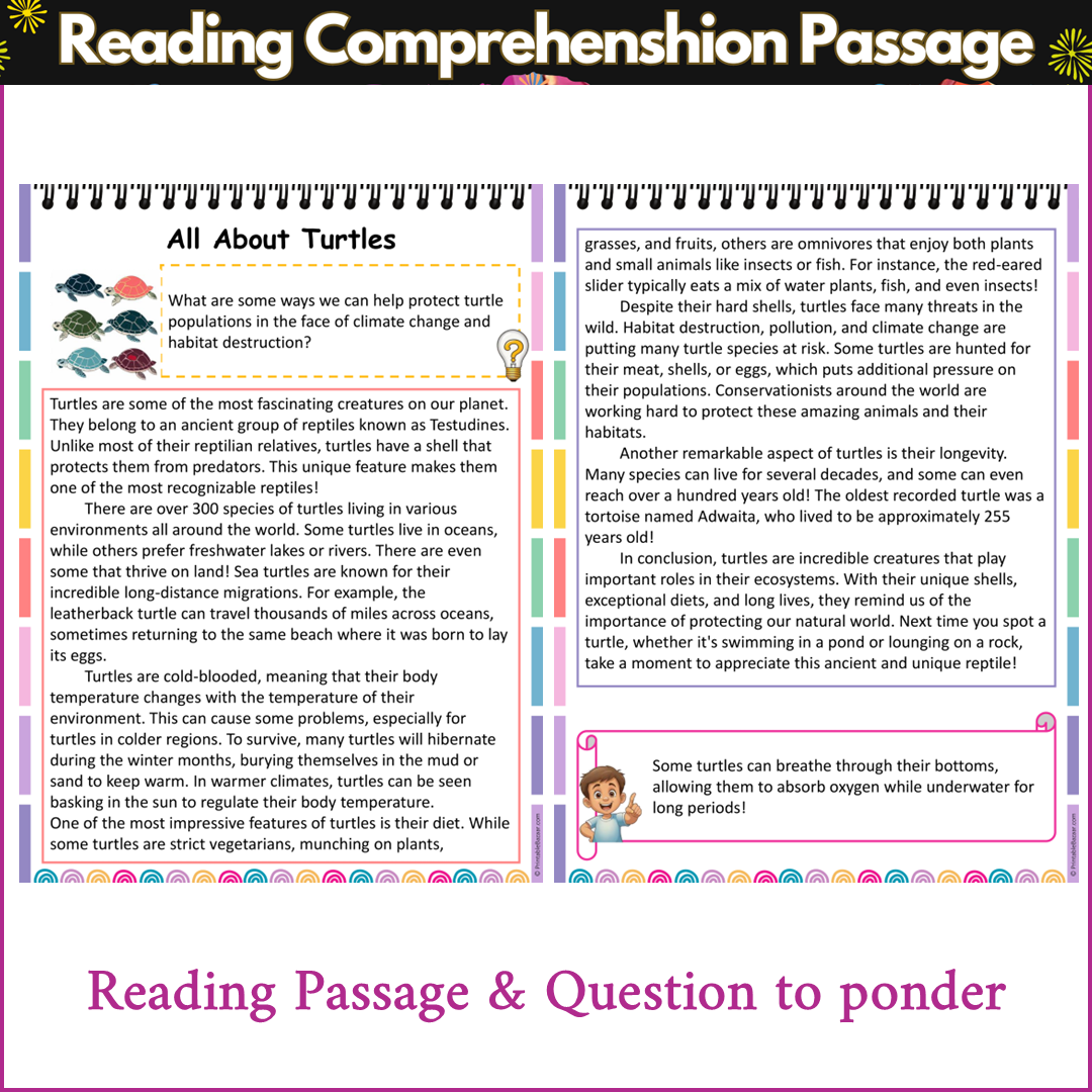 All About Turtles | Reading Comprehension Passage and Questions