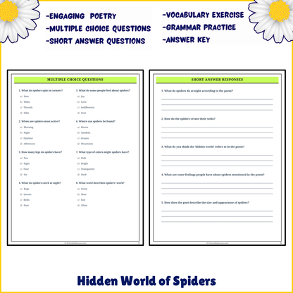 Hidden World of Spiders | Poem Grammar Worksheet Printable Activity