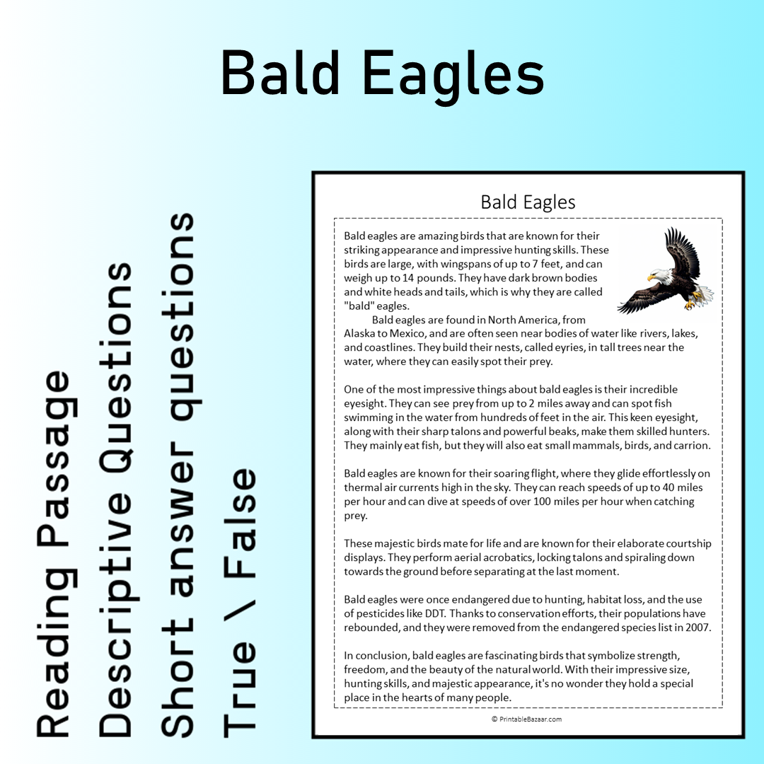 Bald Eagles | Reading Comprehension Passage Printable Worksheet