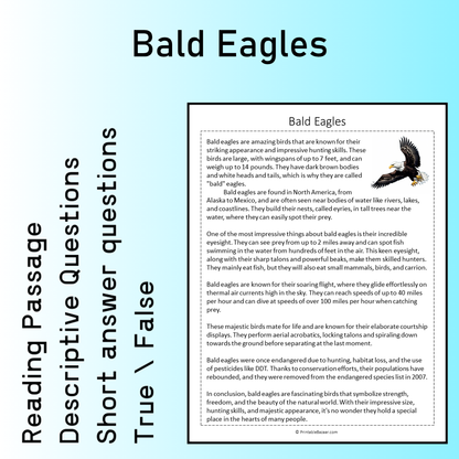 Bald Eagles | Reading Comprehension Passage Printable Worksheet