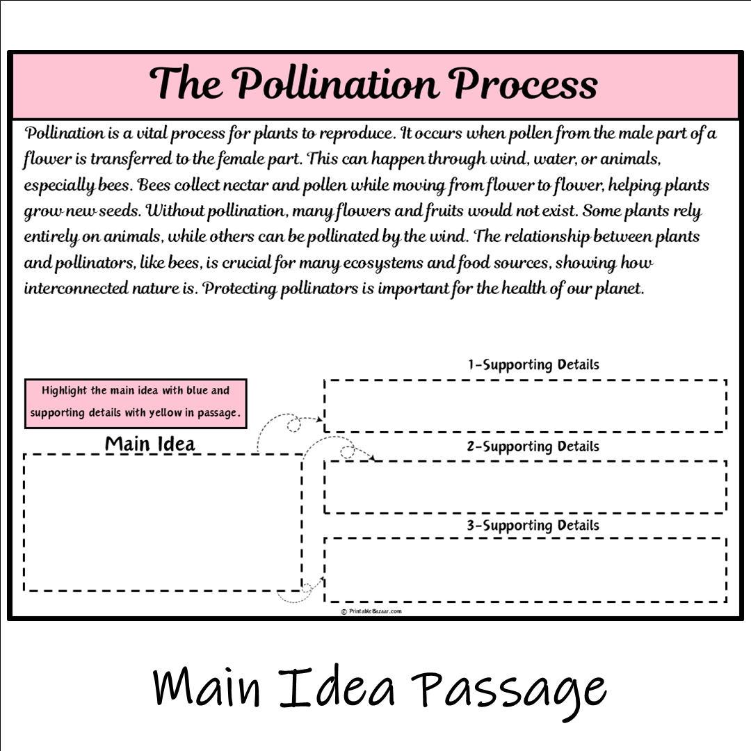 The Pollination Process | Main Idea and Supporting Details Reading Passage and Questions